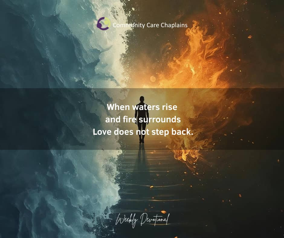 Love That Does Not Look Away